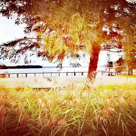 Сasa de vacaciones Dadaj Summer Camp - Caloroczne Ruklawki Biskupiec (Olsztyn)